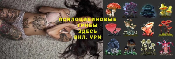 прущий лед Абаза